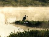 0041 Sunrise and Steam