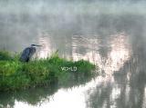 0344 Fog on the Water